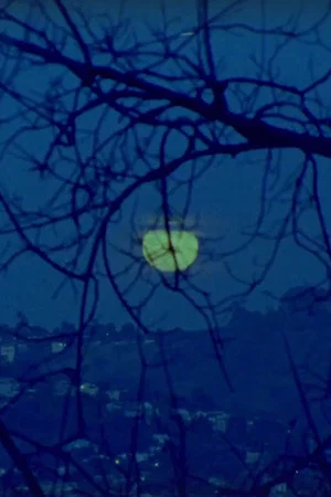 Постер: Giizis Mooka’am: Giiwe (Sun/Moon Rise: She Goes Home)