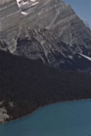 Постер: Wildlife in the Rockies