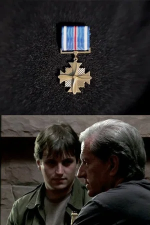Постер: Distinguished Flying Cross