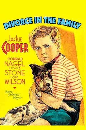 Постер: Divorce In The Family