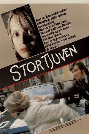 Постер: Stortjuven