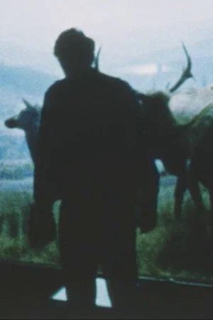 Постер: Fog Pumas