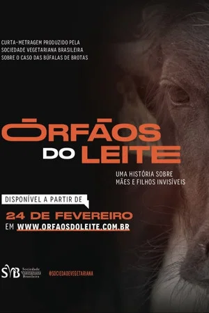 Постер: Órfãos do Leite: Uma história sobre mães e filhos invisíveis