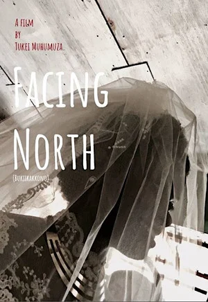 Постер: Facing North
