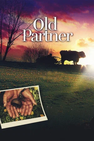 Постер: Old Partner