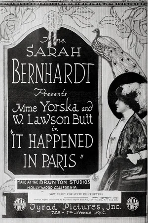 Постер: It Happened in Paris