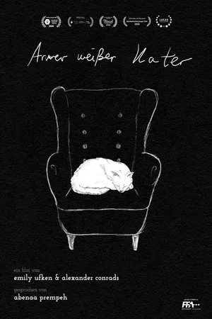 Постер: Armer weisser Kater