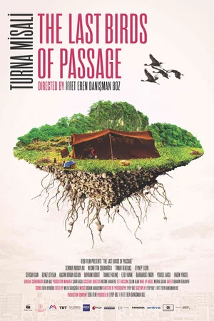 Постер: The Last Birds of Passage