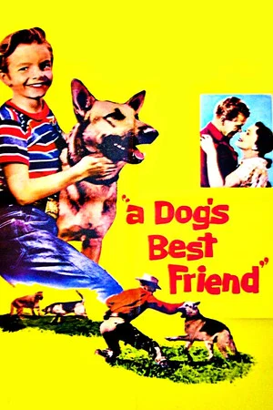 Постер: A Dog's Best Friend