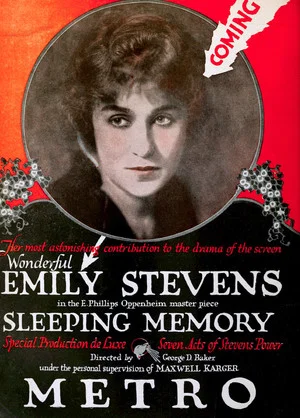 Постер: A Sleeping Memory