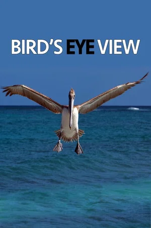 Постер: Bird's Eye View
