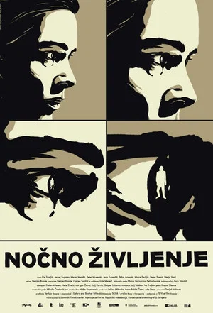 Постер: Ночная жизнь