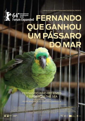 Постер: Fernando Who Received a Bird from the Sea
