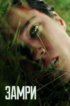 Постер: Замри