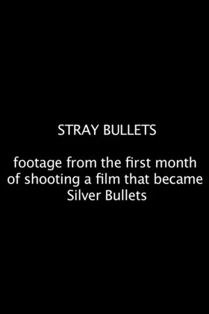 Постер: Stray Bullets