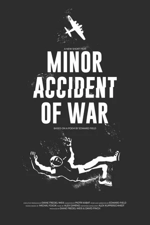 Постер: Minor Accident of War