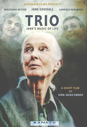 Постер: Trio. Jane's Music of Life