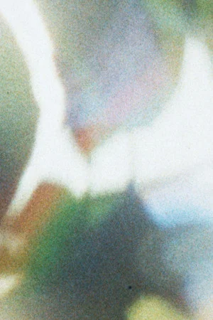 Постер: ipsa (I watched the Moon around the House)