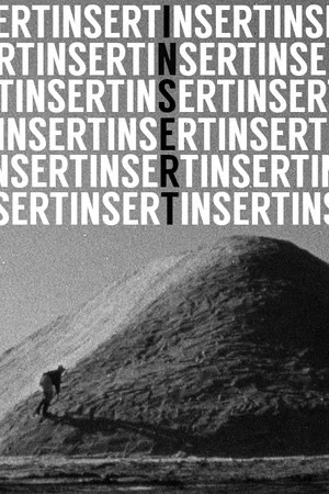 Постер: Insert