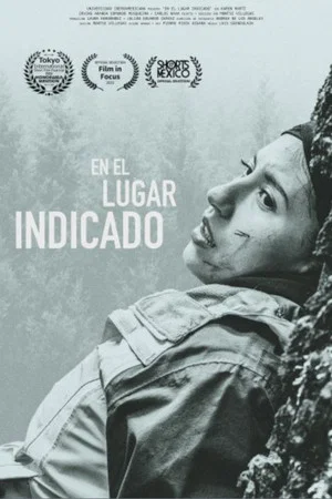 Постер: En el lugar indicado
