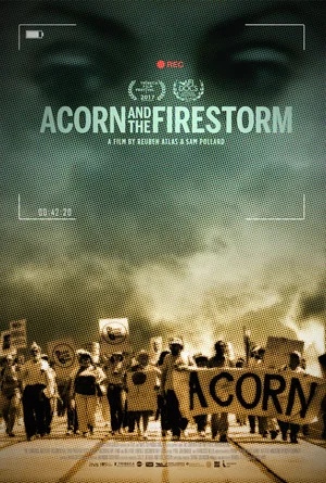 Постер: Acorn and the Firestorm