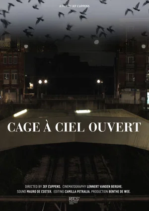 Постер: Cage À Ciel Ouvert