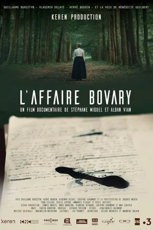 Постер: L'affaire Bovary