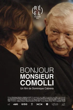 Постер: Hi Mister Comolli