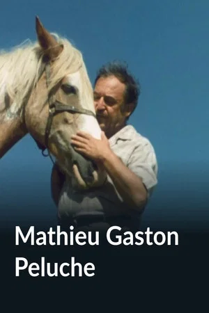 Постер: Mathieu Gaston Peluche
