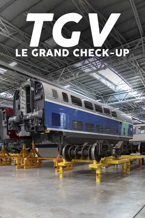 Постер: TGV : Le Grand Check-up