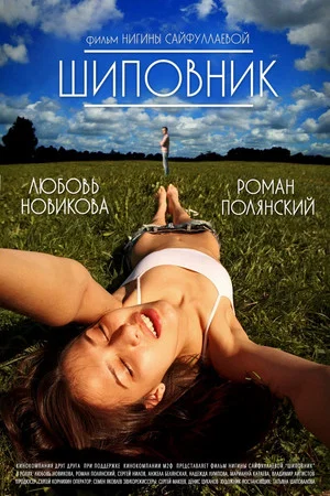 Постер: Шиповник
