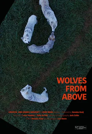 Постер: Wolves From Above