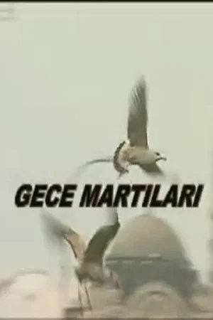 Постер: Gece Martıları