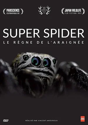 Постер: Le Règne de l'Araignée