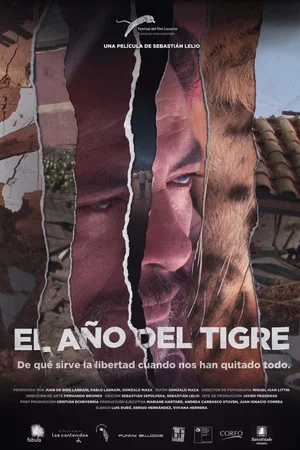Постер: The Year of the Tiger