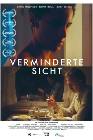Постер: Verminderte Sicht