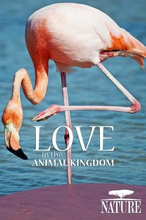 Постер: Nature: Love in the Animal Kingdom