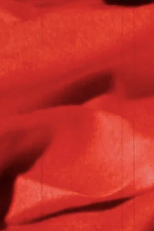 Постер: Rouge