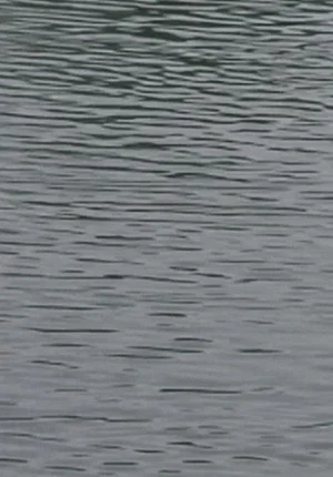 Постер: Waterside