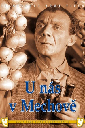 Постер: U nás v Mechově