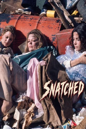 Постер: Snatched