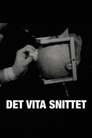 Постер: Det vita snittet