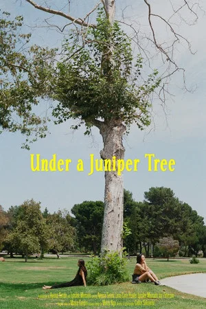 Постер: Under a Juniper Tree