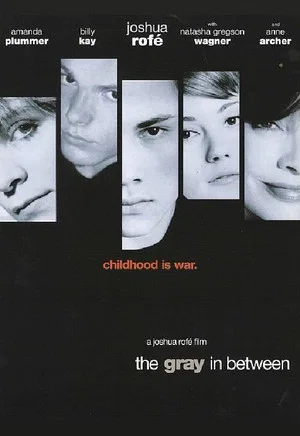Постер: The Gray in Between