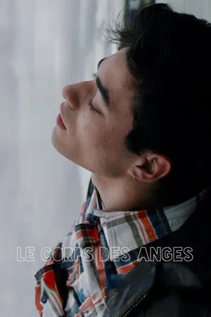 Постер: Body of Angels