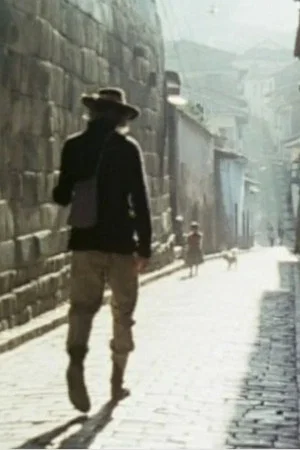Постер: Le petit touriste