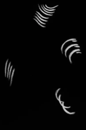 Постер: Dancing Lines