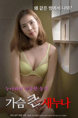 Постер: Big Breasts Sister