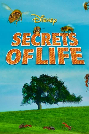 Постер: Secrets of Life