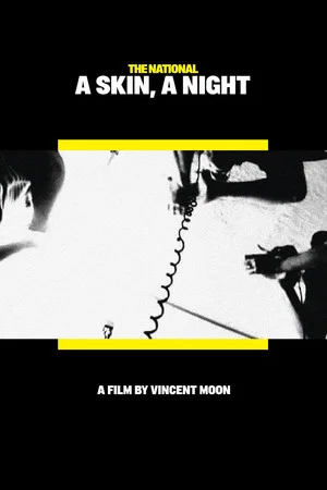 Постер: A Skin, A Night